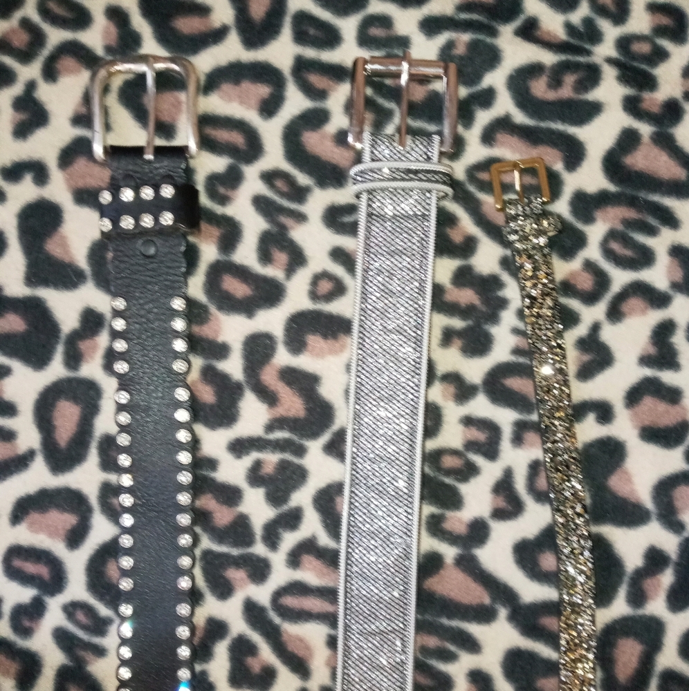 Belts - Picture 2 of 4